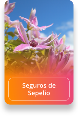 Seguros de Sepelio