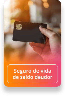 Seguro de vida de saldo deudor